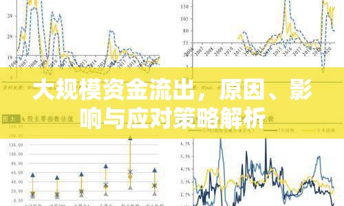 大規(guī)模資金流出，原因、影響與應(yīng)對(duì)策略解析