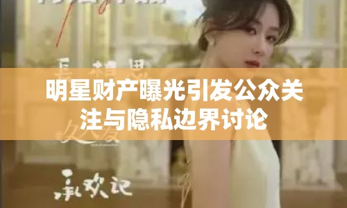 明星財(cái)產(chǎn)曝光引發(fā)公眾關(guān)注與隱私邊界討論