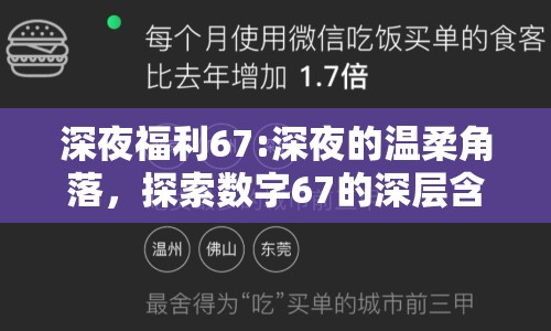 深夜福利67:深夜的溫柔角落，探索數(shù)字67的深層含義