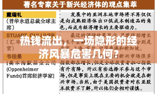 熱錢流出，一場隱形的經(jīng)濟(jì)風(fēng)暴危害幾何？