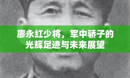 廖永紅少將，軍中驕子的光輝足跡與未來展望