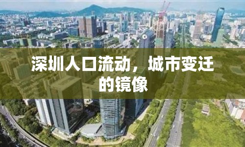深圳人口流動，城市變遷的鏡像
