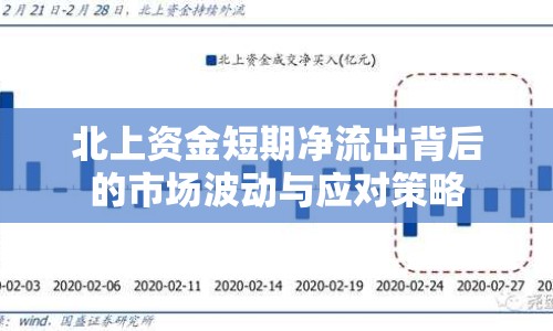 北上資金短期凈流出背后的市場(chǎng)波動(dòng)與應(yīng)對(duì)策略