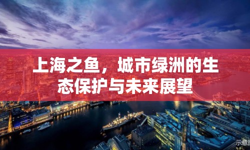 上海之魚，城市綠洲的生態(tài)保護與未來展望