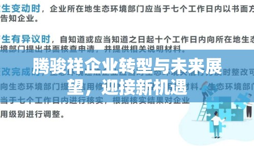 騰駿祥企業(yè)轉(zhuǎn)型與未來展望，迎接新機遇