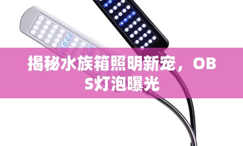 揭秘水族箱照明新寵，OBS燈泡曝光