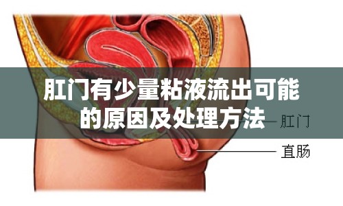肛門(mén)有少量粘液流出可能的原因及處理方法