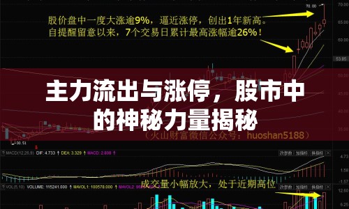 主力流出與漲停，股市中的神秘力量揭秘