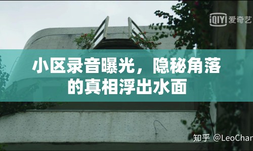 小區(qū)錄音曝光，隱秘角落的真相浮出水面