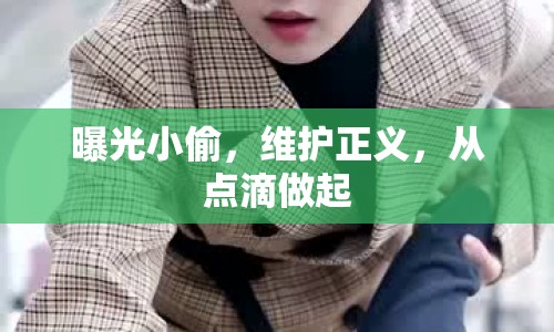 曝光小偷，維護(hù)正義，從點(diǎn)滴做起