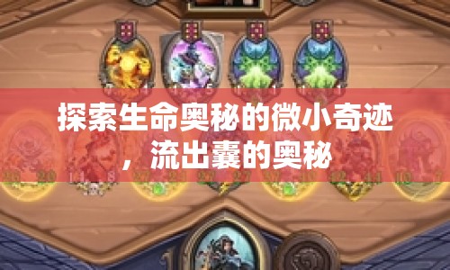 探索生命奧秘的微小奇跡，流出囊的奧秘