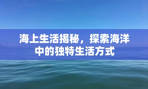 海上生活揭秘，探索海洋中的獨(dú)特生活方式