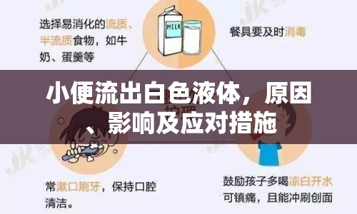 小便流出白色液體，原因、影響及應(yīng)對措施