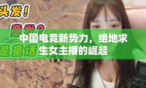 中國(guó)電競(jìng)新勢(shì)力，絕地求生女主播的崛起