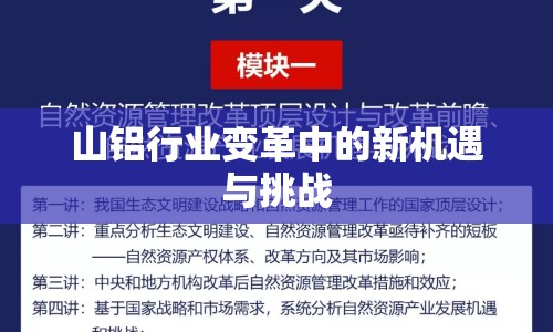 山鋁行業(yè)變革中的新機(jī)遇與挑戰(zhàn)