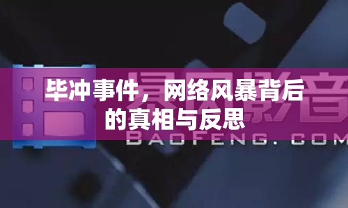畢沖事件，網絡風暴背后的真相與反思