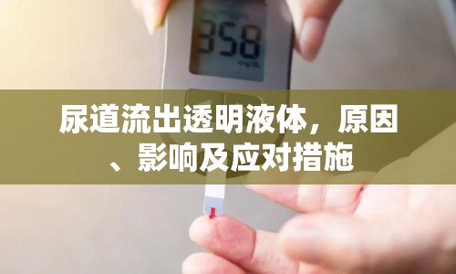 尿道流出透明液體，原因、影響及應(yīng)對措施