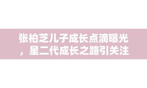 張柏芝兒子成長(zhǎng)點(diǎn)滴曝光，星二代成長(zhǎng)之路引關(guān)注