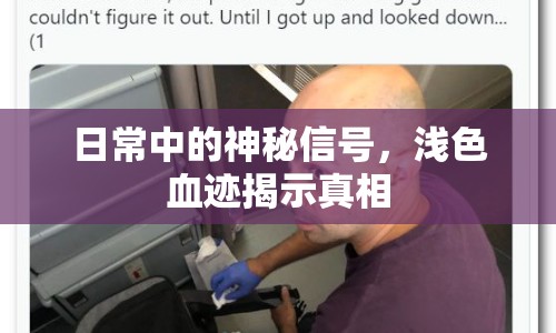 日常中的神秘信號(hào)，淺色血跡揭示真相