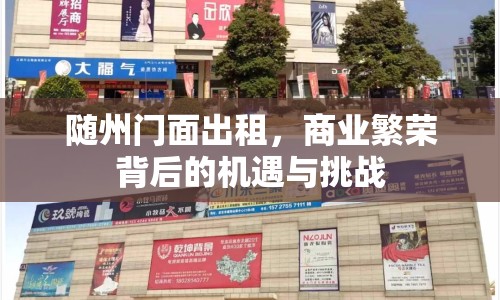 隨州門面出租，商業(yè)繁榮背后的機遇與挑戰(zhàn)
