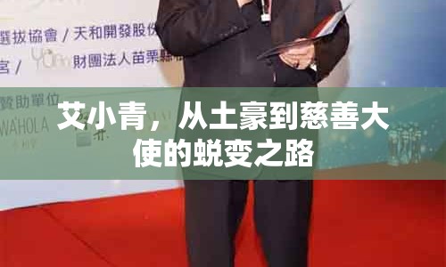 艾小青，從土豪到慈善大使的蛻變之路