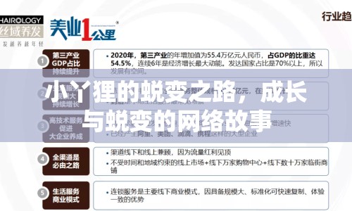 小丫貍的蛻變之路，成長(zhǎng)與蛻變的網(wǎng)絡(luò)故事