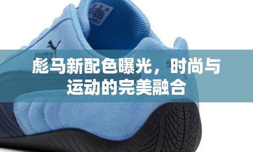 彪馬新配色曝光，時(shí)尚與運(yùn)動(dòng)的完美融合
