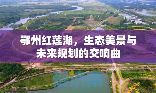 鄂州紅蓮湖，生態(tài)美景與未來規(guī)劃的交響曲