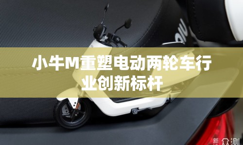 小牛M重塑電動(dòng)兩輪車行業(yè)創(chuàng)新標(biāo)桿