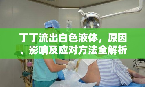 丁丁流出白色液體，原因、影響及應對方法全解析