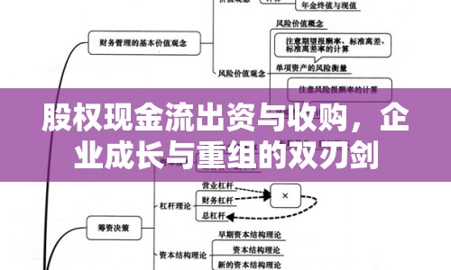 股權(quán)現(xiàn)金流出資與收購，企業(yè)成長與重組的雙刃劍