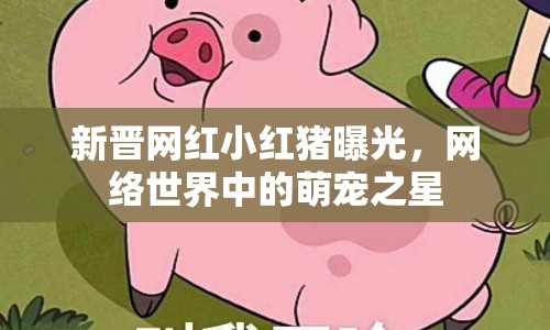 新晉網(wǎng)紅小紅豬曝光，網(wǎng)絡(luò)世界中的萌寵之星