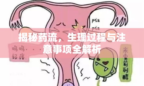 揭秘藥流，生理過(guò)程與注意事項(xiàng)全解析