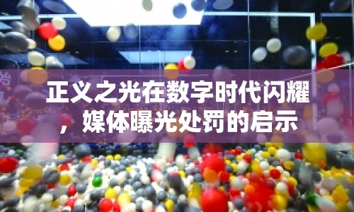 正義之光在數(shù)字時(shí)代閃耀，媒體曝光處罰的啟示