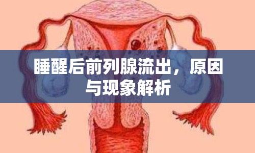 睡醒后前列腺流出，原因與現(xiàn)象解析