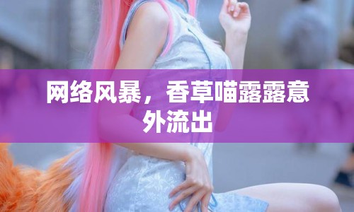 網(wǎng)絡(luò)風(fēng)暴，香草喵露露意外流出