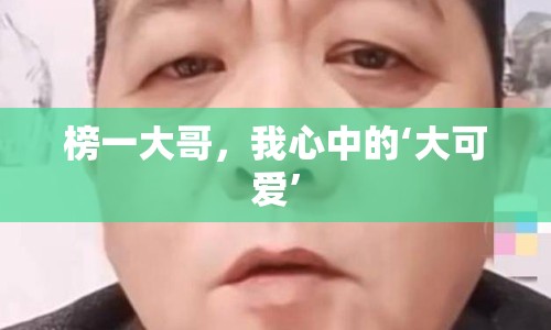 榜一大哥，我心中的‘大可愛’