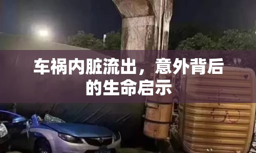 車禍內(nèi)臟流出，意外背后的生命啟示
