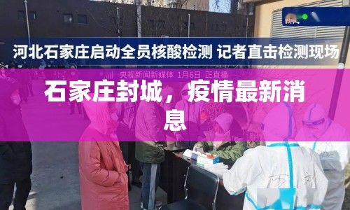 石家莊封城，疫情最新消息