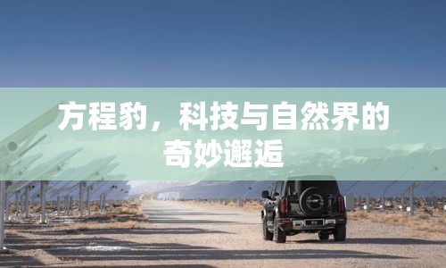 方程豹，科技與自然界的奇妙邂逅
