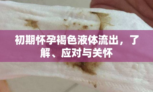 初期懷孕褐色液體流出，了解、應(yīng)對與關(guān)懷