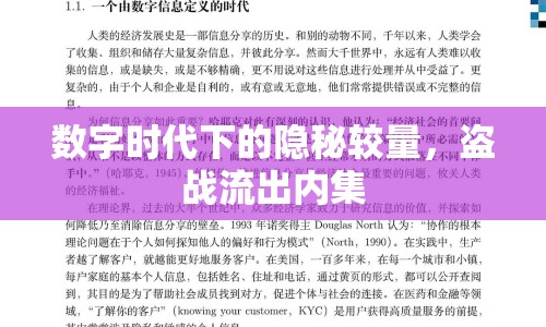 數(shù)字時代下的隱秘較量，盜戰(zhàn)流出內集