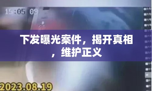 下發(fā)曝光案件，揭開真相，維護(hù)正義