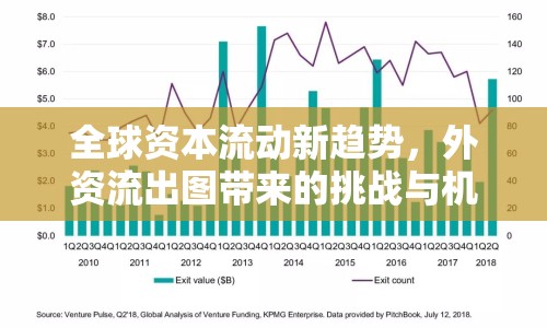 全球資本流動新趨勢，外資流出圖帶來的挑戰(zhàn)與機(jī)遇