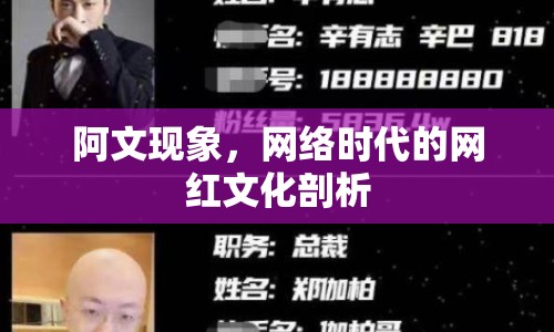 阿文現(xiàn)象，網(wǎng)絡(luò)時(shí)代的網(wǎng)紅文化剖析