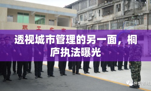 透視城市管理的另一面，桐廬執(zhí)法曝光