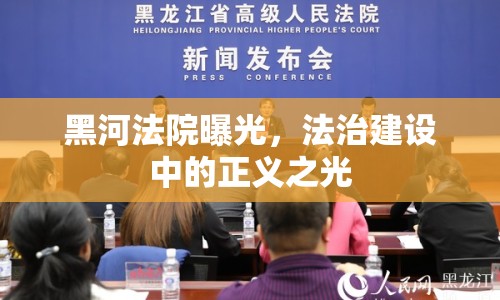黑河法院曝光，法治建設(shè)中的正義之光