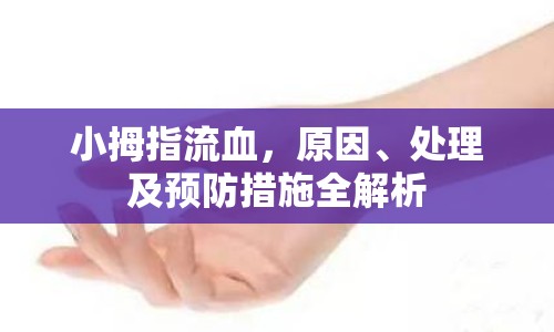 小拇指流血，原因、處理及預(yù)防措施全解析