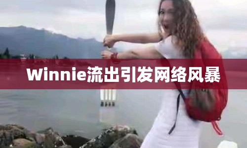 Winnie流出引發(fā)網絡風暴