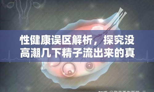 性健康誤區(qū)解析，探究沒高潮幾下精子流出來的真相